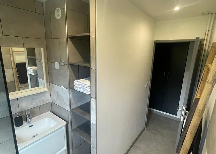 Chambre Avec Salle D\'Eau Privee Dans Appartement Partage 200 M Du Tram