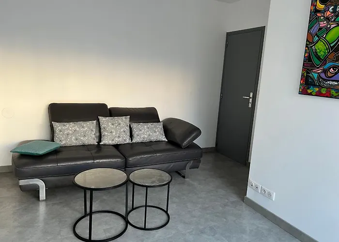 Chambre Avec Salle D\'Eau Privee Dans Appartement Partage 200 M Du Tram
